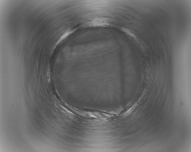 X0000052961306200508050938