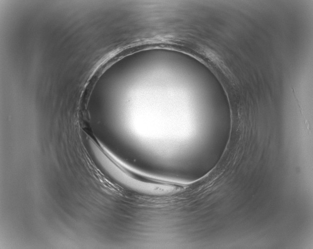 X0000052961308200508050938