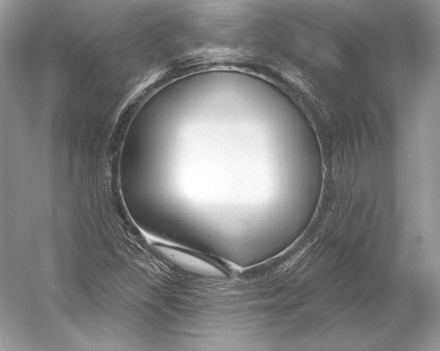 X0000052961309200508050938
