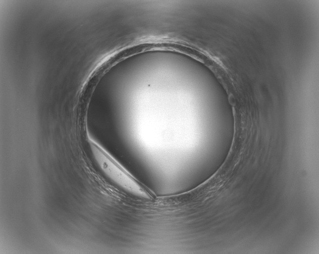 X0000052961311200508050938