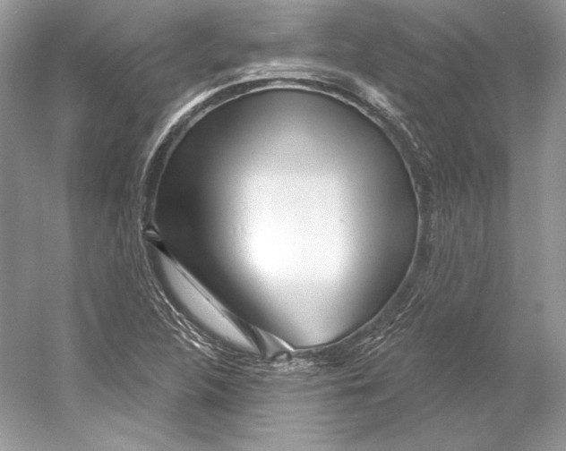 X0000052961312200508050938