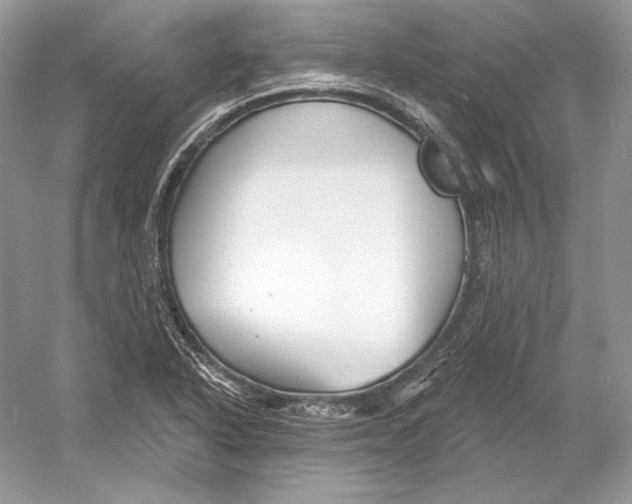 X0000052961318200508050938
