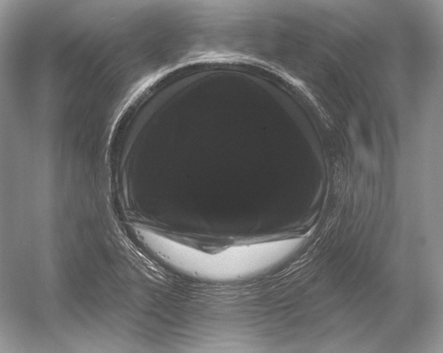 X0000052961319200508050938