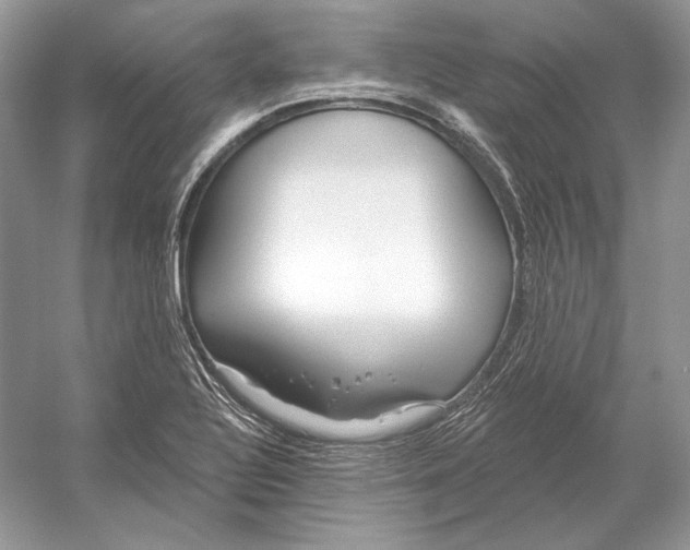 X0000052961320200508050938