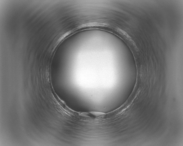 X0000052961321200508050938