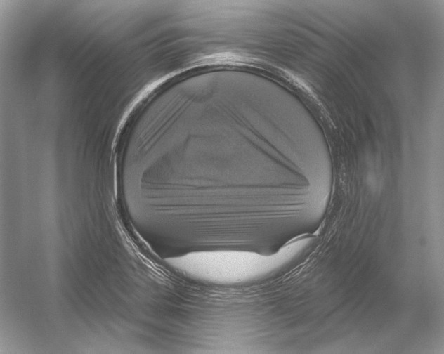 X0000052961323200508050938