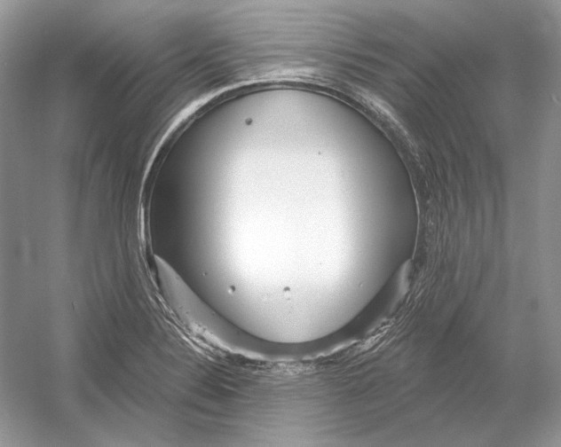 X0000052961324200508050938