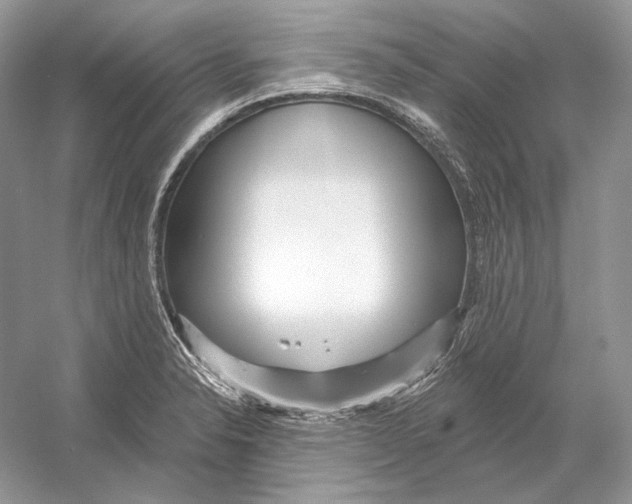 X0000052961326200508050938