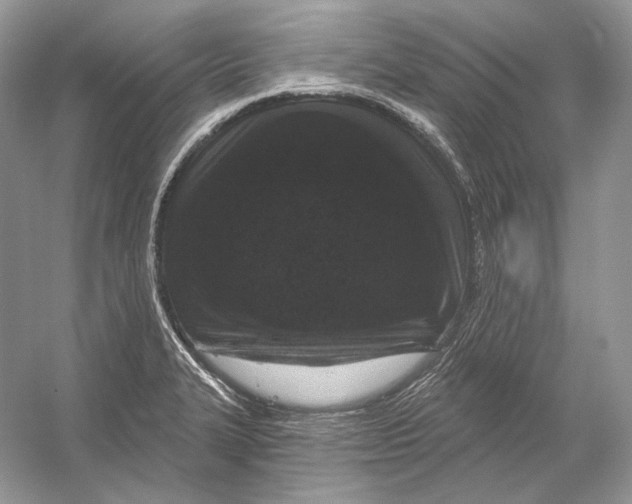 X0000052961327200508050938