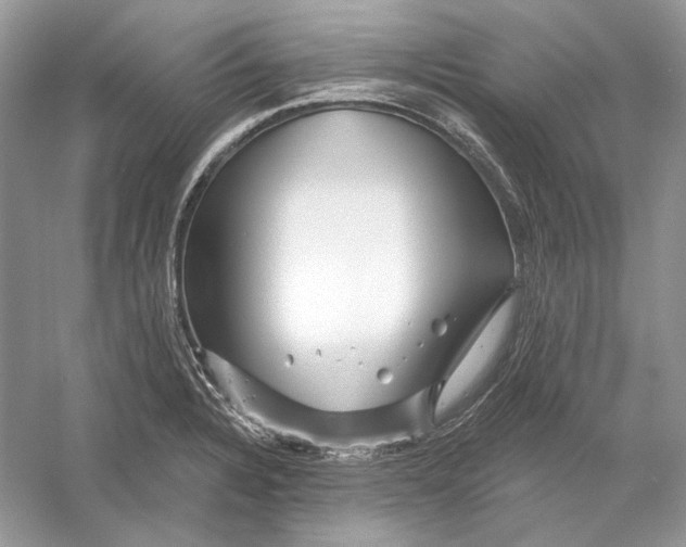 X0000052961328200508050938
