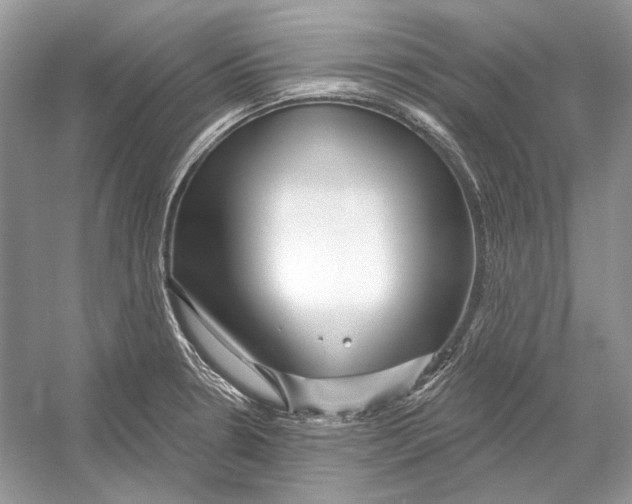 X0000052961330200508050938