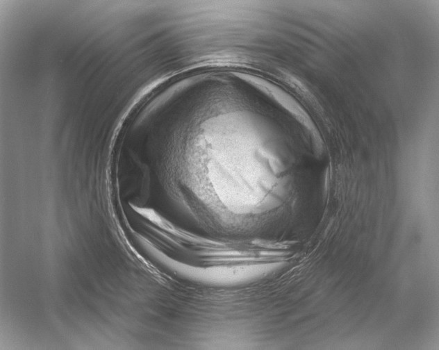 X0000052961331200508050938