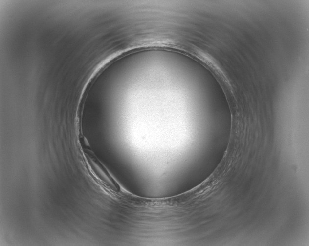 X0000052961332200508050938