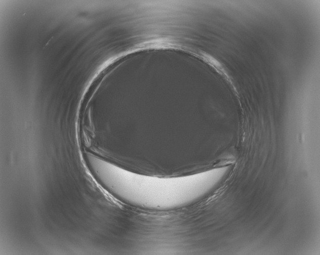 X0000052961334200508050938