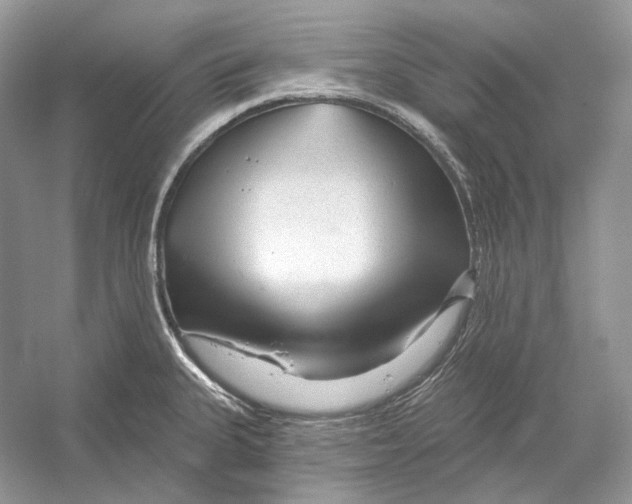 X0000052961335200508050938