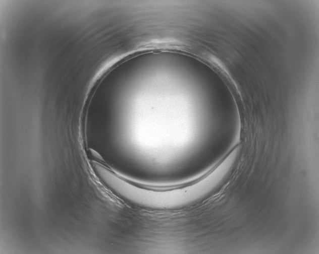 X0000052961336200508050938