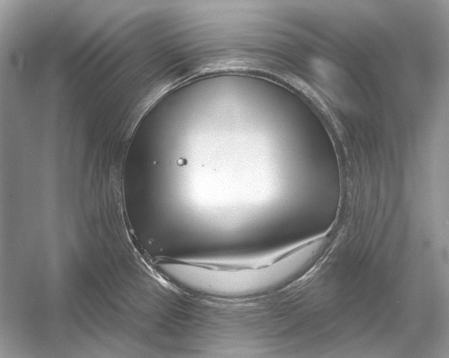 X0000052961337200508050938
