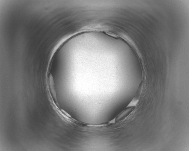 X0000052961344200508050938