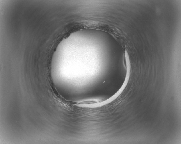 X0000052961345200508050937