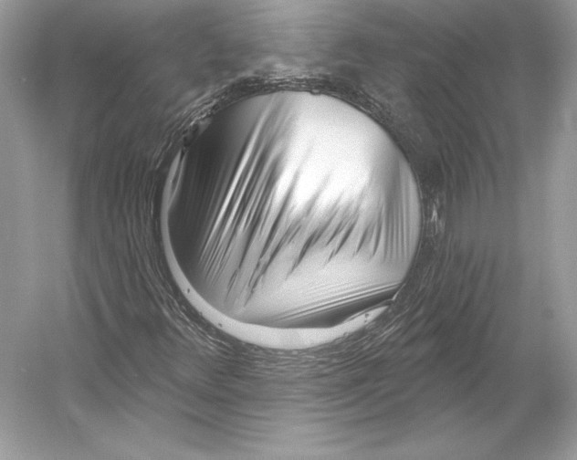 X0000052961348200508050937