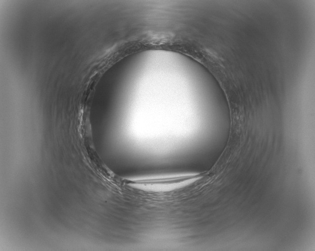 X0000052961349200508050937