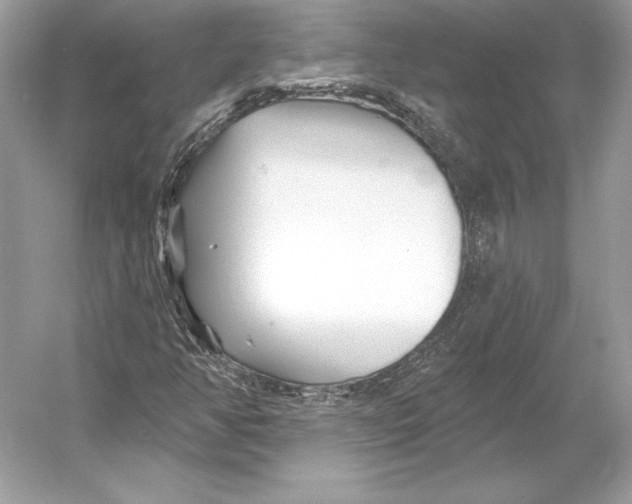 X0000052961350200508050937