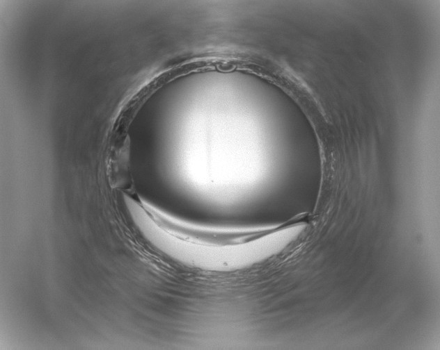 X0000052961352200508050937
