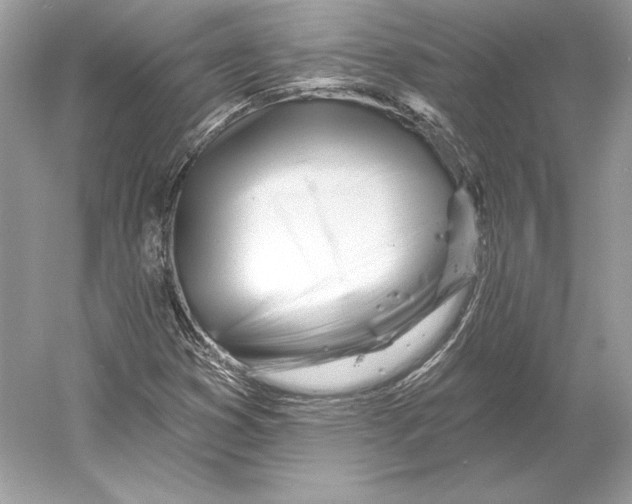 X0000052961353200508050937