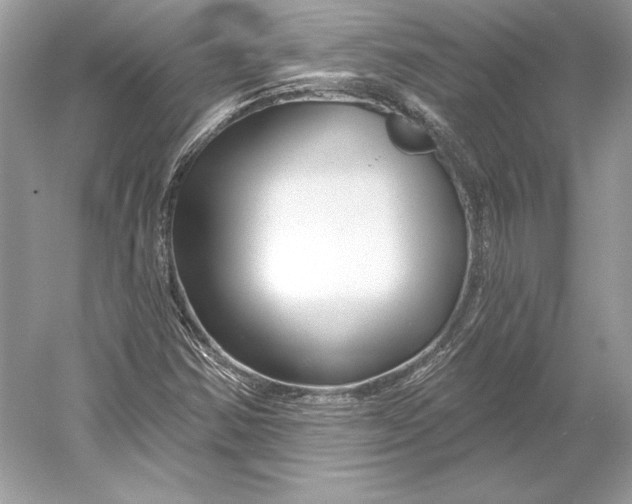 X0000052961354200508050937