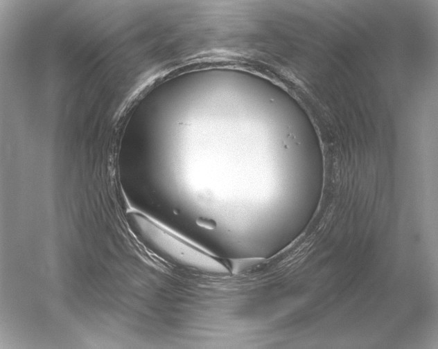 X0000052961355200508050937