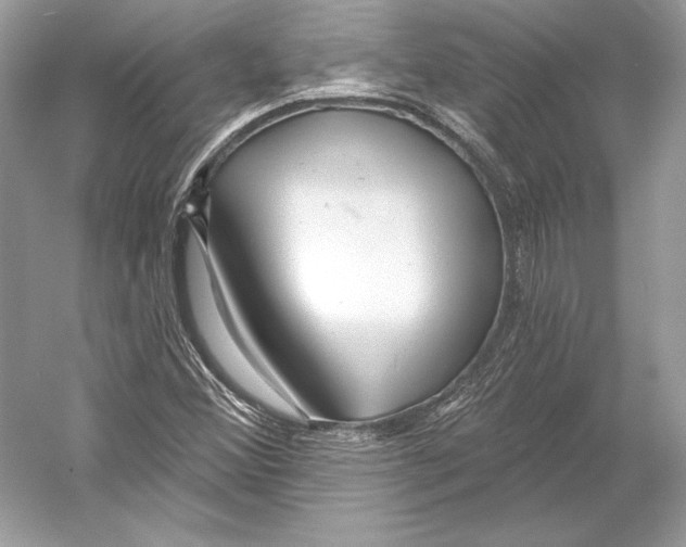 X0000052961356200508050937