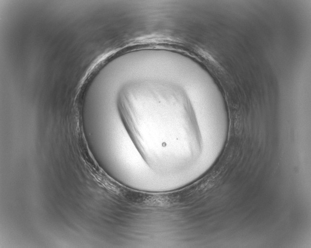 X0000052961358200508050937