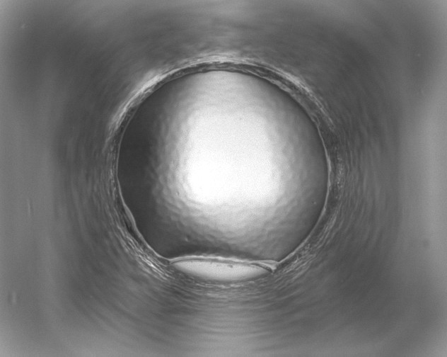 X0000052961359200508050937