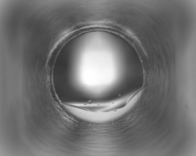 X0000052961360200508050937