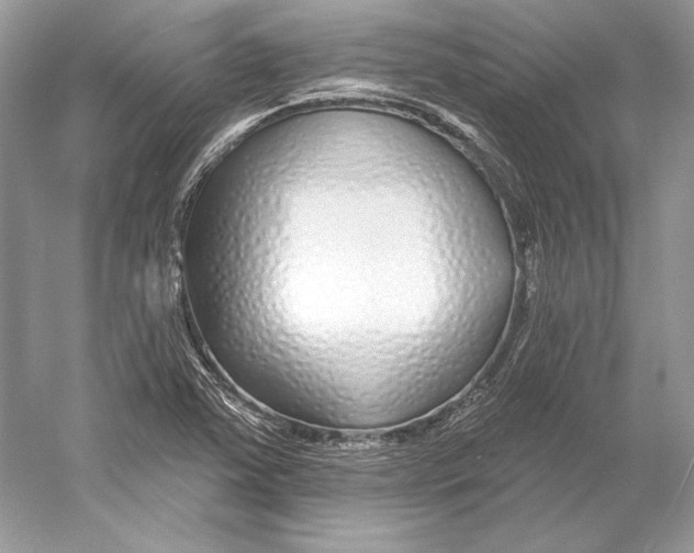 X0000052961363200508050937