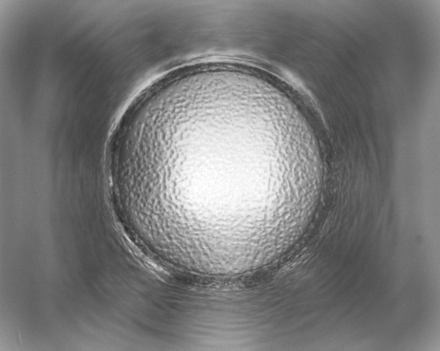 X0000052961368200508050937