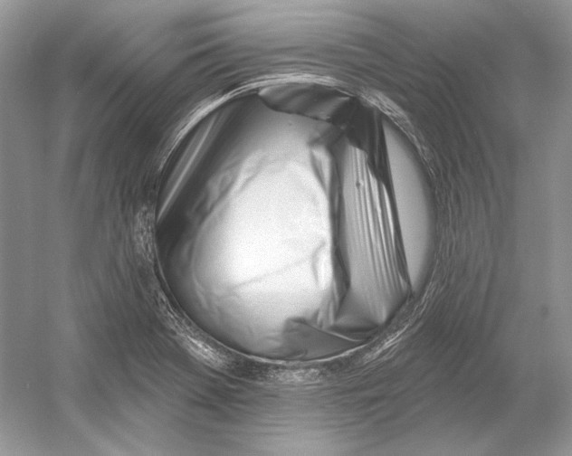 X0000052961369200508050937