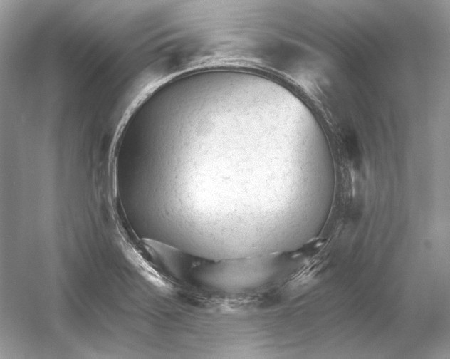 X0000052961371200508050937