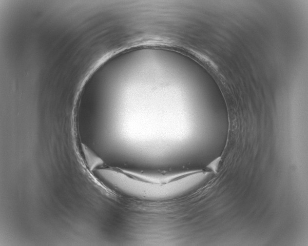 X0000052961375200508050937