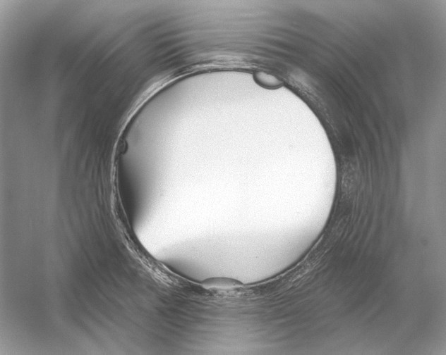 X0000052961378200508050937