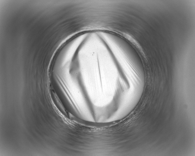 X0000052961380200508050937
