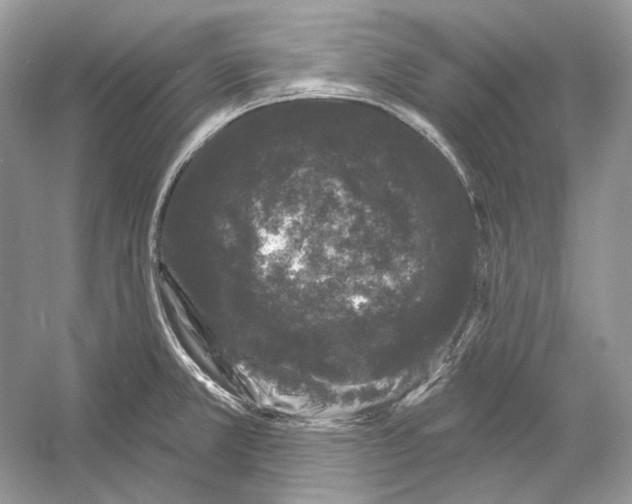 X0000052961381200508050937