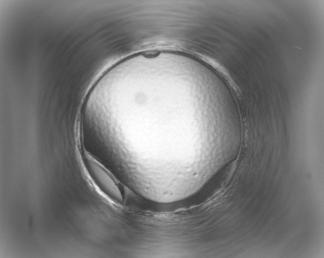 X0000052961383200508050937