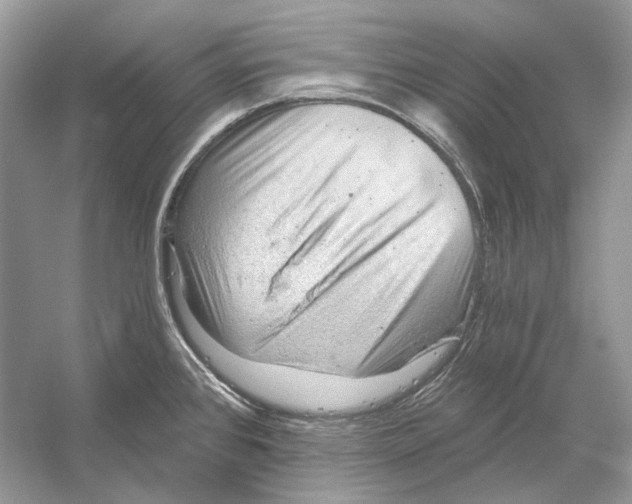 X0000052961384200508050937