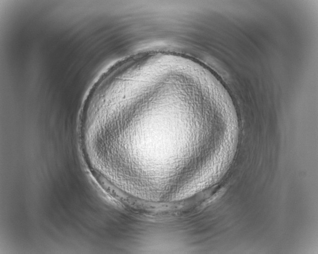 X0000052961392200508050937