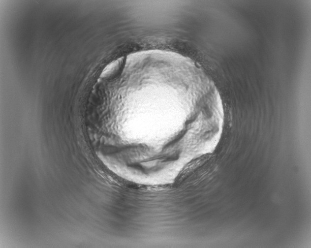 X0000052961393200508050936