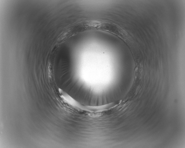 X0000052961394200508050936