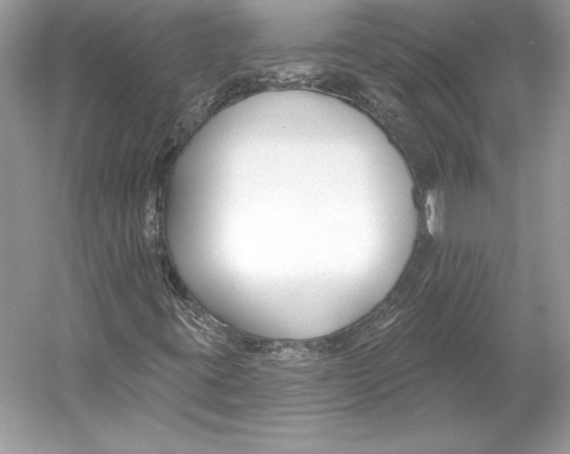 X0000052961395200508050936