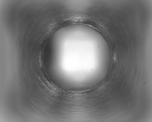 X0000052961396200508050936
