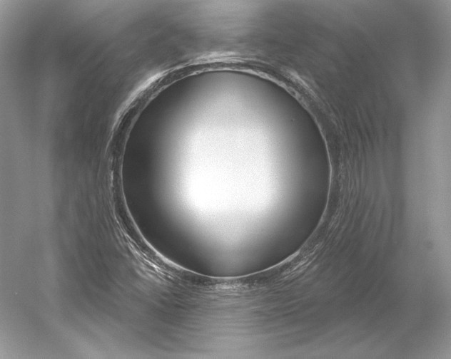 X0000052961406200508050936